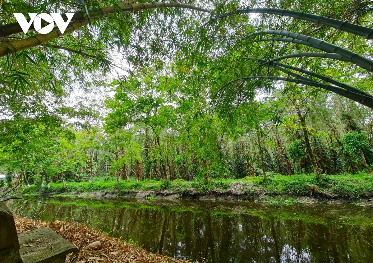 Cà Mau: Du lịch tăng trưởng mạnh trong 6 tháng đầu năm Tỉnh Cà Mau có tiềm năng phát triển du lịch tại hệ sinh thái rừng tràm và rừng đước