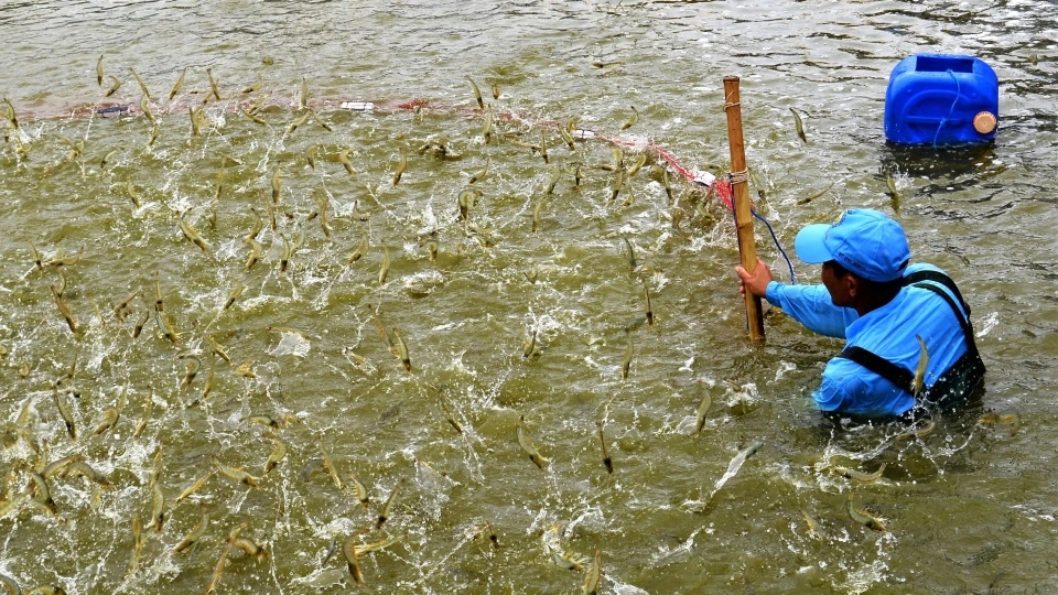 Cà Mau: Du lịch tăng trưởng mạnh trong 6 tháng đầu năm