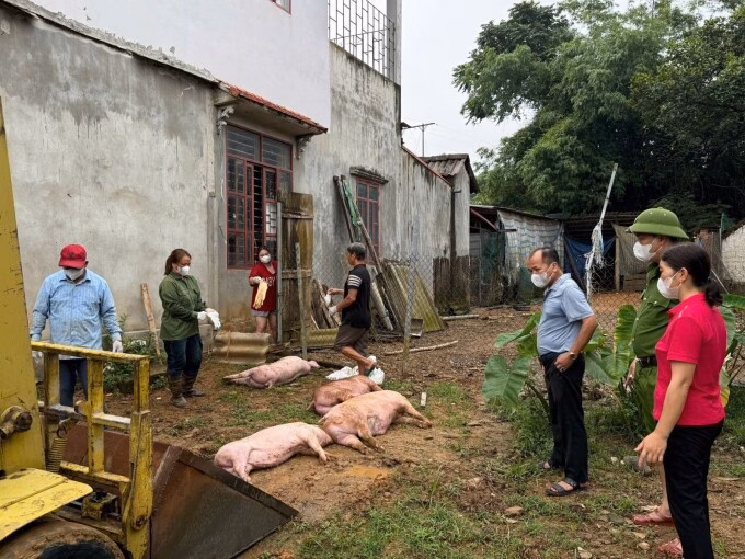 Dịch tả lợn châu Phi: 30 tỉnh thành bị ảnh hưởng, số ca mắc và tiêu hủy giảm Thứ trưởng Nông nghiệp và Môi trường Phùng Đức Tiến nói tại hội nghị. Ảnh: Gia Chinh