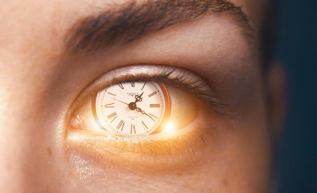 Đồng hồ sinh học điều chỉnh nhịp để chống lại tác động của nhiệt độ