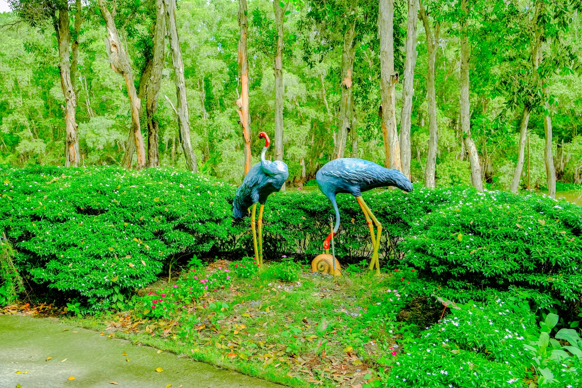 Đồng Tháp打造 Tràm Chim thành biểu tượng du lịch sinh thái Sếu đầu đỏ tại Vườn Quốc gia Tràm Chim