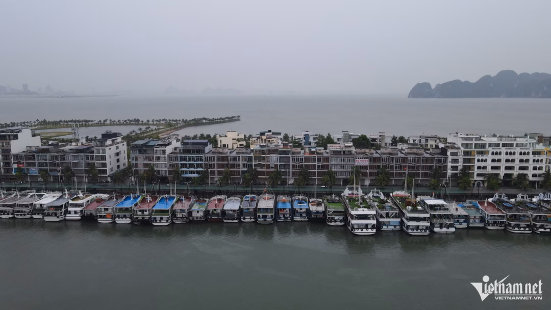 Hàng trăm tàu du lịch ở Vịnh Hạ Long tạm ngừng hoạt động避 bão Wipha Trong mưa gió phập phù, các thuyền viên chuẩn bị lương thực dự trữ. Theo chia sẻ, khu vực neo đậu có thuyền viên túc trực 24/7 để điều chỉnh dây nối và xử lý các tình huống bất chợt.