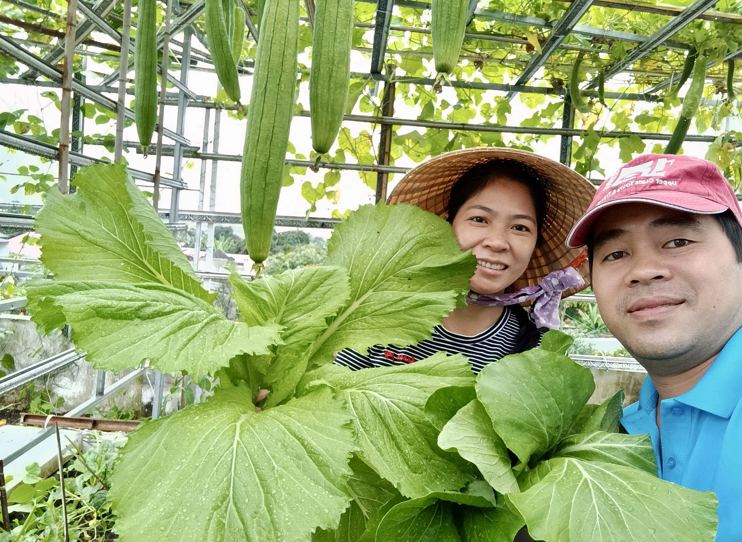 Lâm Đồng: Gác hàng tranh lên sân thượng trồng rau sạch Mê trồng rau sạch từ thời còn ở trọ: Gia chủ bội thu, khỏi cần đi chợ - Ảnh 2.