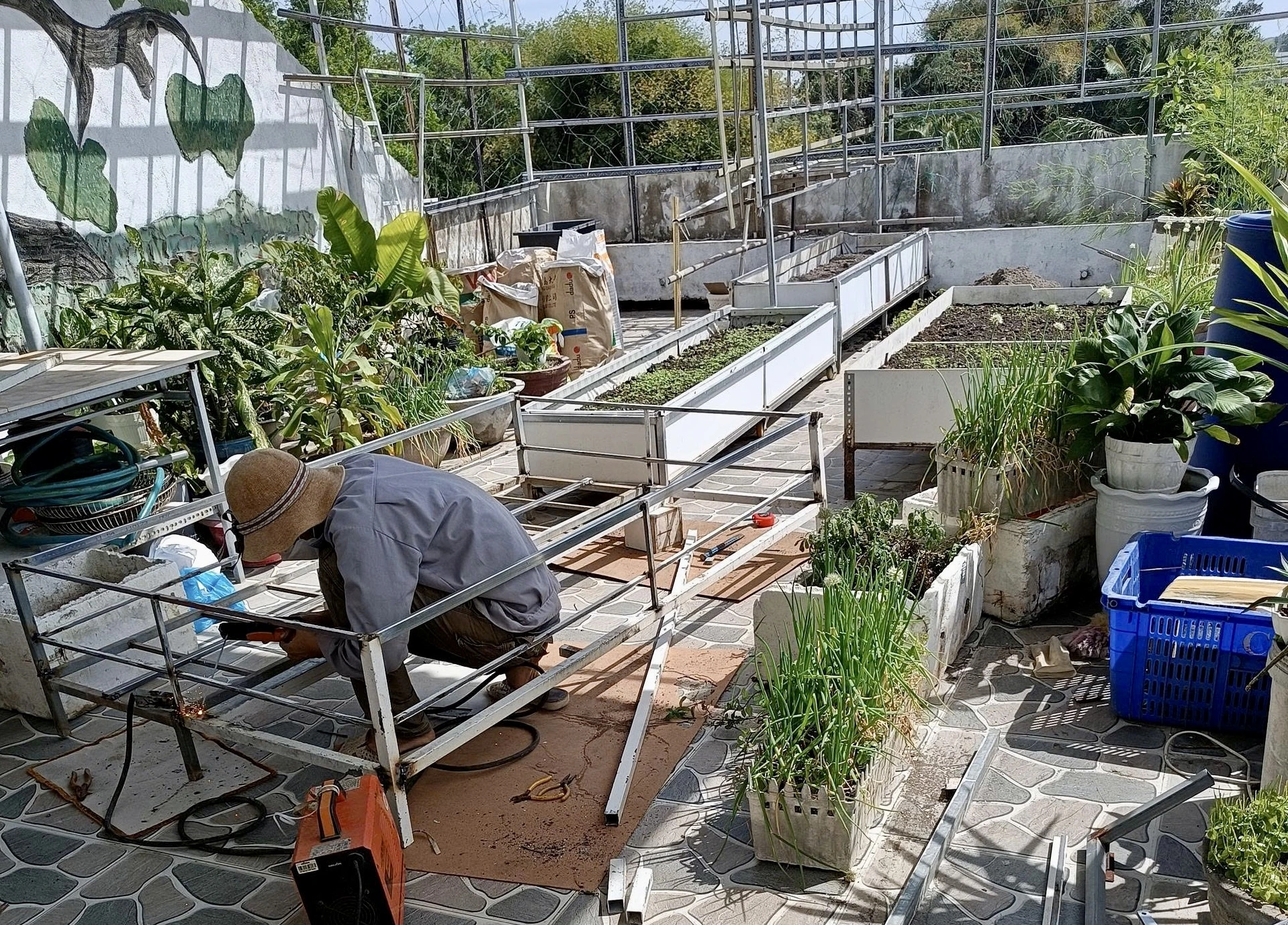 Lâm Đồng: Gác hàng tranh lên sân thượng trồng rau sạch Gia đình chỉ nhờ người thân giúp những việc như xây kệ xi măng men theo chân tường, hàn khung sắt