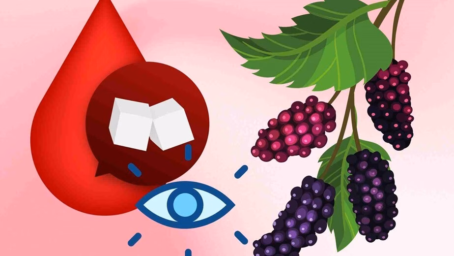 Loại lá dân dã giúp ổn định đường huyết, cải thiện thị lực