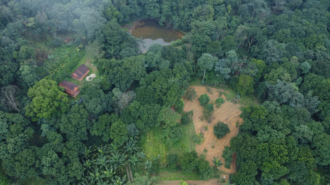 Nữ khoa học trở về ‘hồi sinh’ rừng đầu nguồn và ‘tín chỉ carbon’
Hệ sinh thái Rừng - Rẫy - Ruộng tại khu rừng đầu nguồn sông Ngàn Phố.