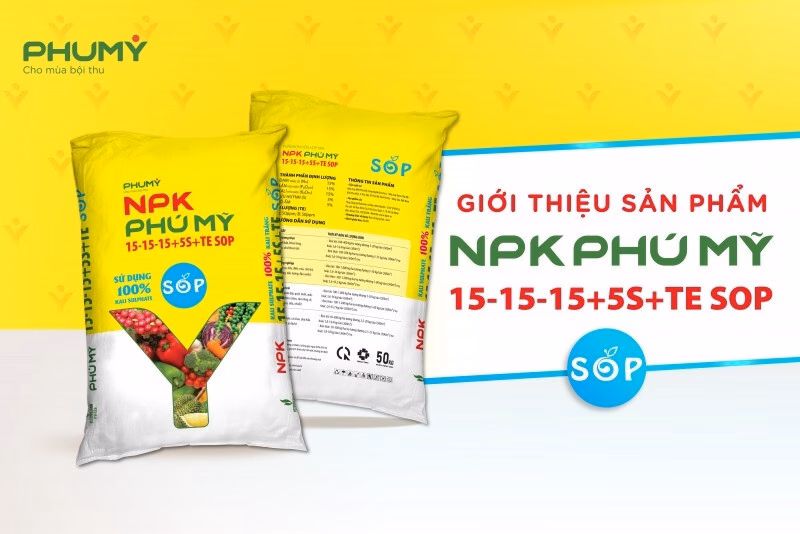 Phân bón NPK cao cấp ra mắt thị trường