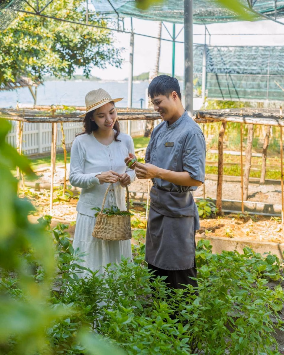 Phú Quốc lên bản đồ du lịch cao cấp thế giới với mô hình All-Inclusive sang trọng và bền vững