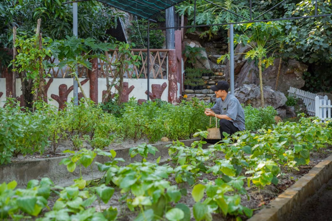 Phú Quốc nâng tầm trải nghiệm du lịch với mô hình All-Inclusive và chứng nhận Green Globe 2025 wowweekend-premier-village-phu-quoc-resort-green-globe-2025-sustainability-prestigious-certification-5-1753416640.jpg
