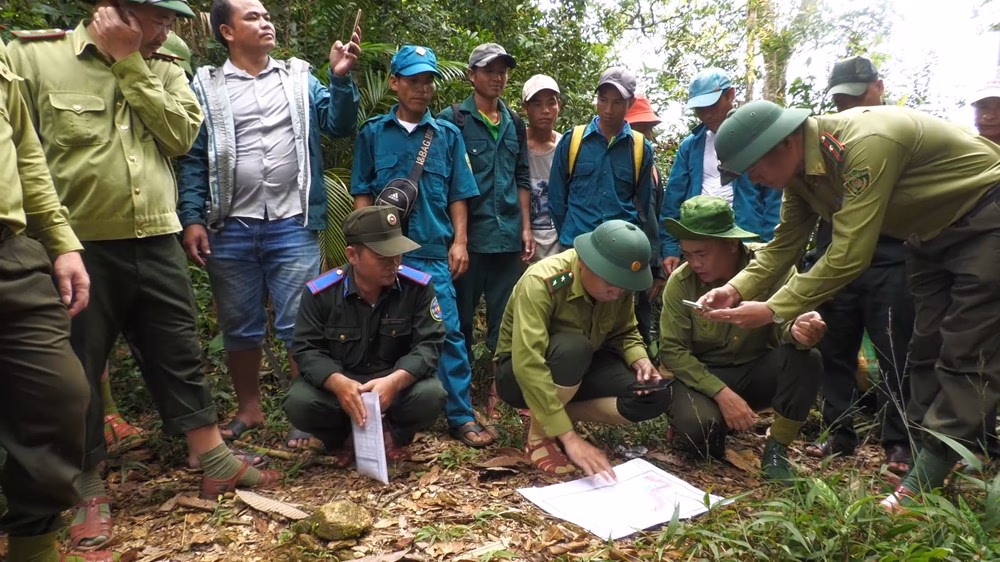 Quảng Ngãi ứng dụng công nghệ số trong bảo vệ rừng Quản lý, bảo vệ rừng trên không gian số - ảnh 3