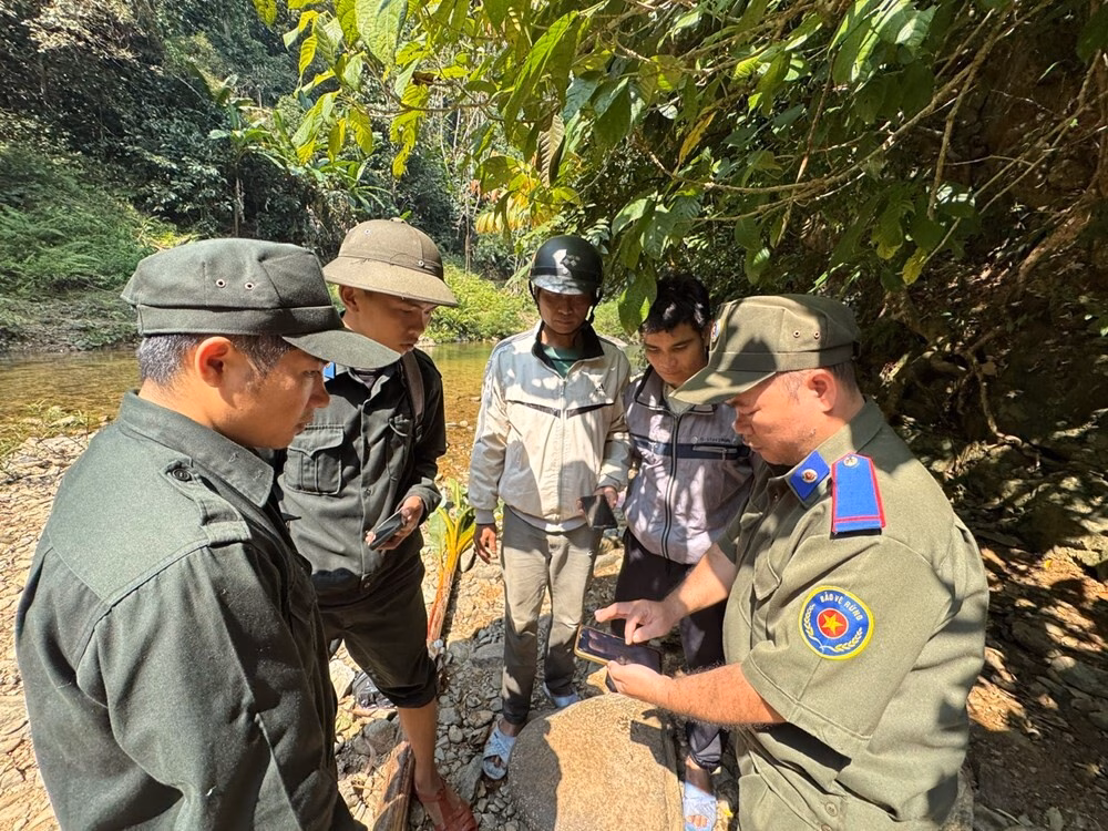 Quảng Ngãi ứng dụng công nghệ số trong bảo vệ rừng Quản lý, bảo vệ rừng trên không gian số - ảnh 2