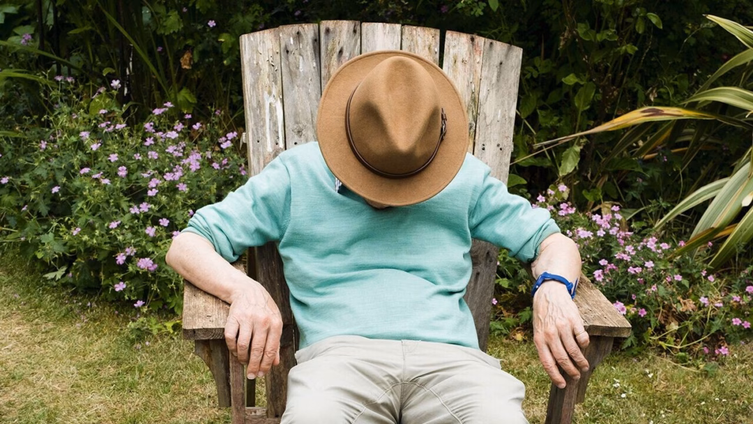 Vi sinh vật đường ruột ảnh hưởng như thế nào đến hệ miễn dịch và sức khỏe tiêu hóa?