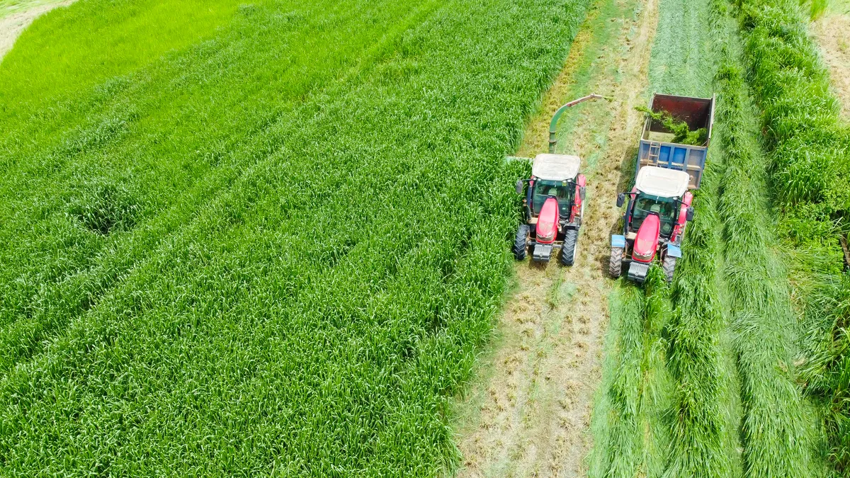 Vinamilk sở hữu trang trại bò sữa bền vững, ‘mở khóa’ triết lý xanh Ảnh: Vi Nam