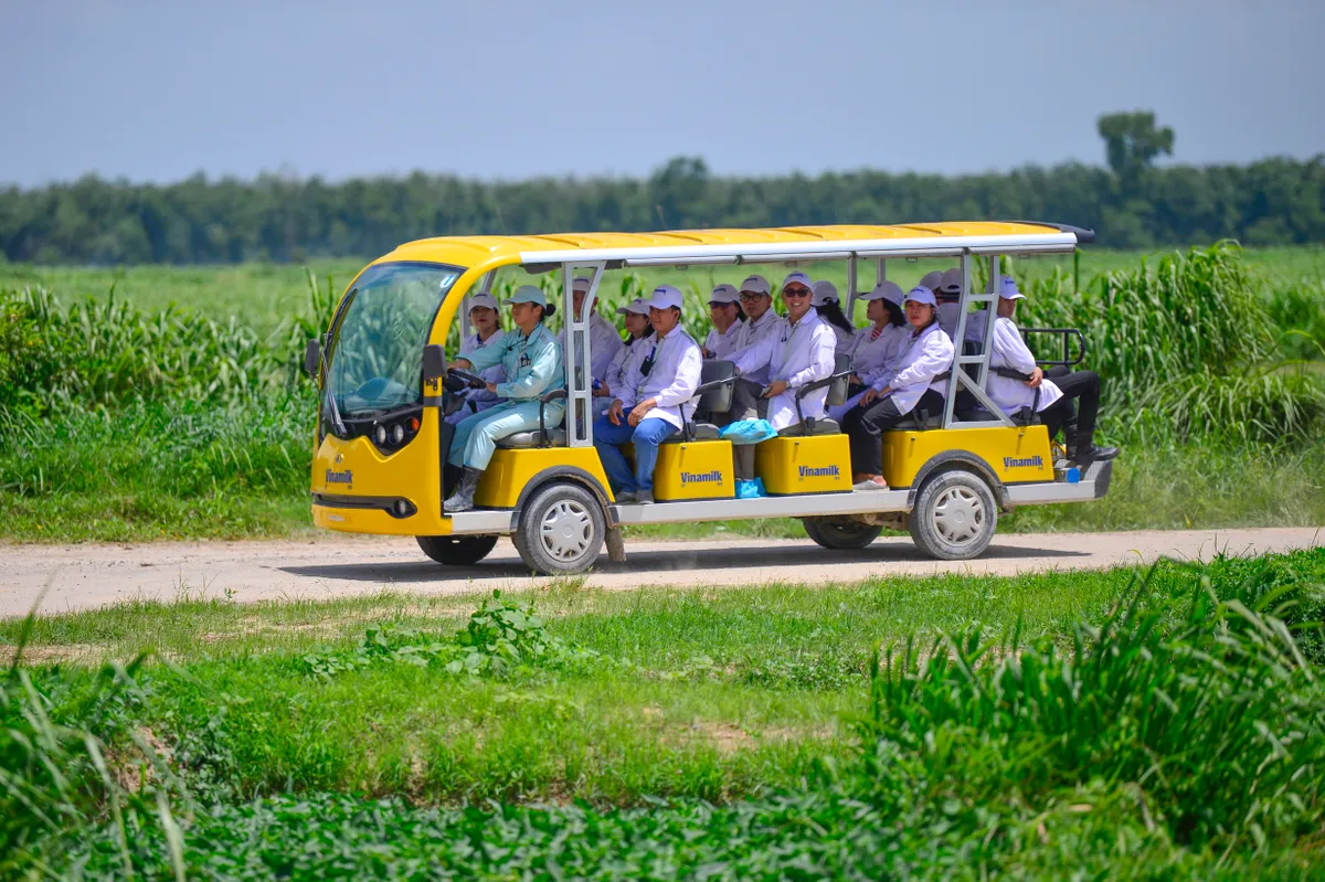 Vinamilk sở hữu trang trại bò sữa bền vững, ‘mở khóa’ triết lý xanh Ảnh: Quang Định
