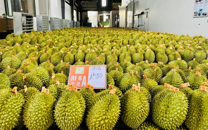 Xuất khẩu sầu riêng Việt Nam được đánh giá có chiều hướng tốt Trung Quốc đánh giá rất tốt khi đi kiểm tra vùng trồng sầu riêng Việt Nam - Ảnh 2.