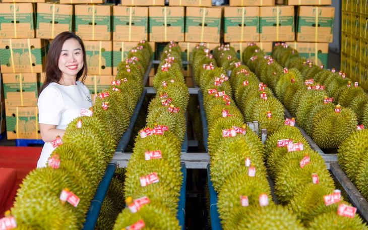 Xuất khẩu sầu riêng Việt Nam được đánh giá có chiều hướng tốt Trung Quốc đánh giá rất tốt khi đi kiểm tra vùng trồng sầu riêng Việt Nam - Ảnh 4.