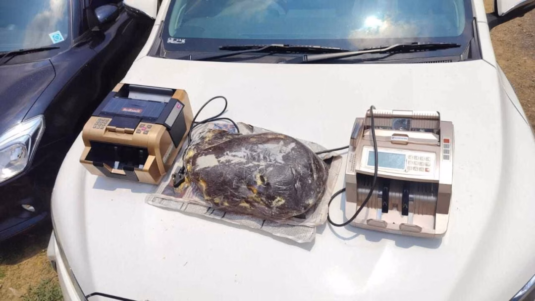 Ấn Độ thu giữ 10kg long diên hương trị giá 30 tỷ đồng trong vụ buôn lậu