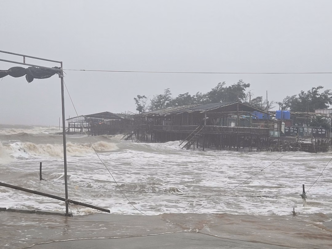 Bão tàn phá khu du lịch Cồn Vành: Sàn gỗ nhà hàng ven biển bị lật tung Những sàn gỗ của các nhà hàng ven biển đã bị những con sóng lật tung, nằm ngổn ngang