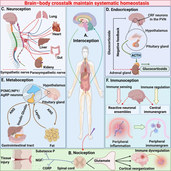 Cancer research breakthrough: tiến sĩ độ –
Một bước nhảy cơ bản – trong nghiên cứu
(Nghiên cứu khối u đã có bước ngoặt từ研究 tế nào ung thư cơ thể ? Nghiên cứu các kết hợp Tumor investigation ) Fig. 2