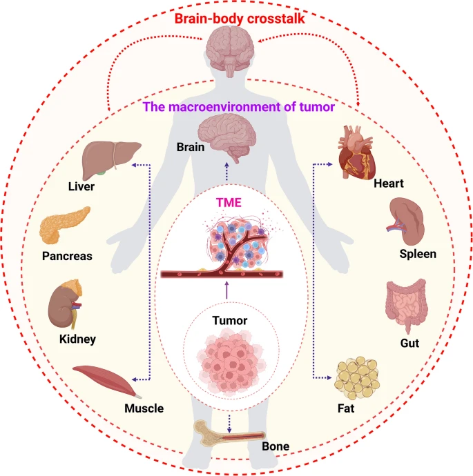Cancer research breakthrough: tiến sĩ độ –
Một bước nhảy cơ bản – trong nghiên cứu
(Nghiên cứu khối u đã có bước ngoặt từ研究 tế nào ung thư cơ thể ? Nghiên cứu các kết hợp Tumor investigation ) Fig. 1