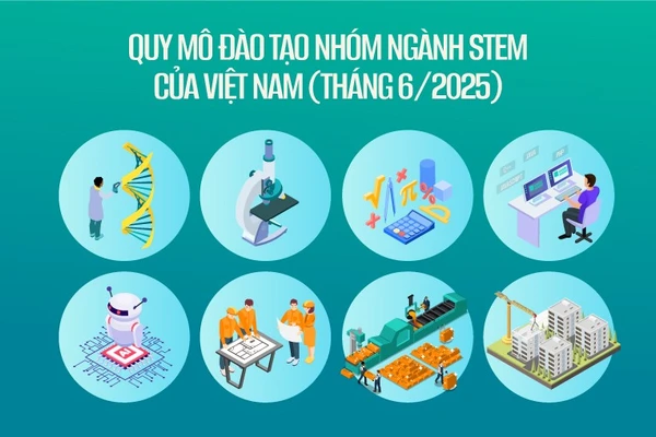 Quy mô đào tạo nhóm ngành STEM của Việt Nam