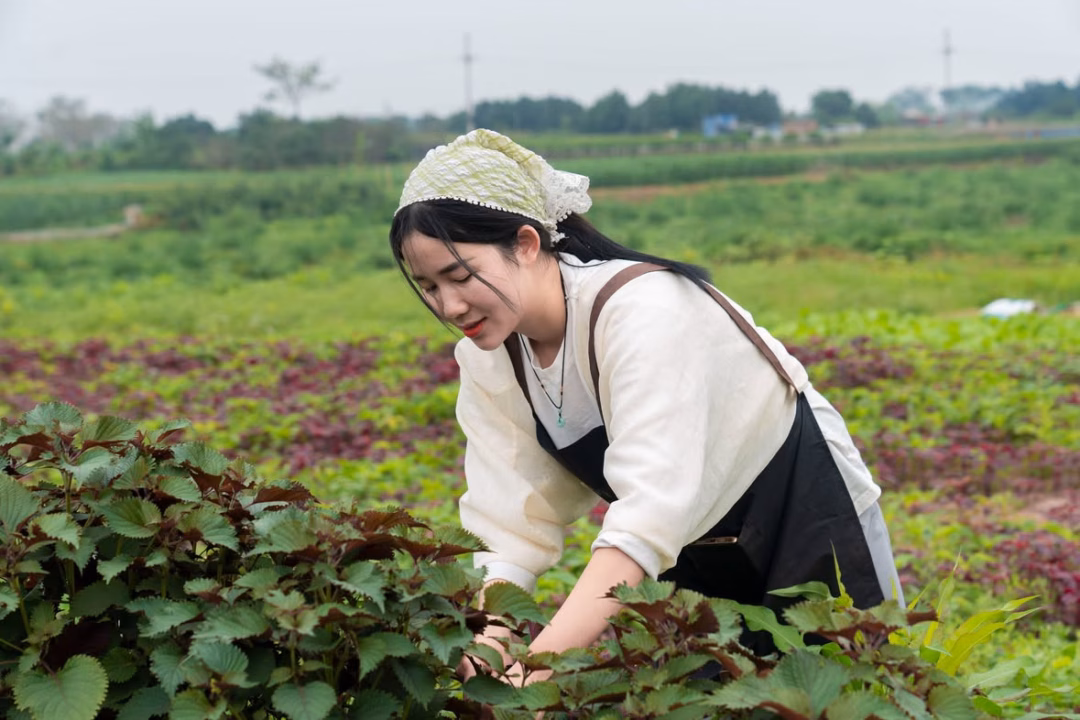 Chị Huyên trở về bên gia đình, trở thành CEO làm việc với rau củ như trở về với thời thơ ấu gắn bó với vườn rau của mẹ. Ảnh: Hoàng Thị Huyên