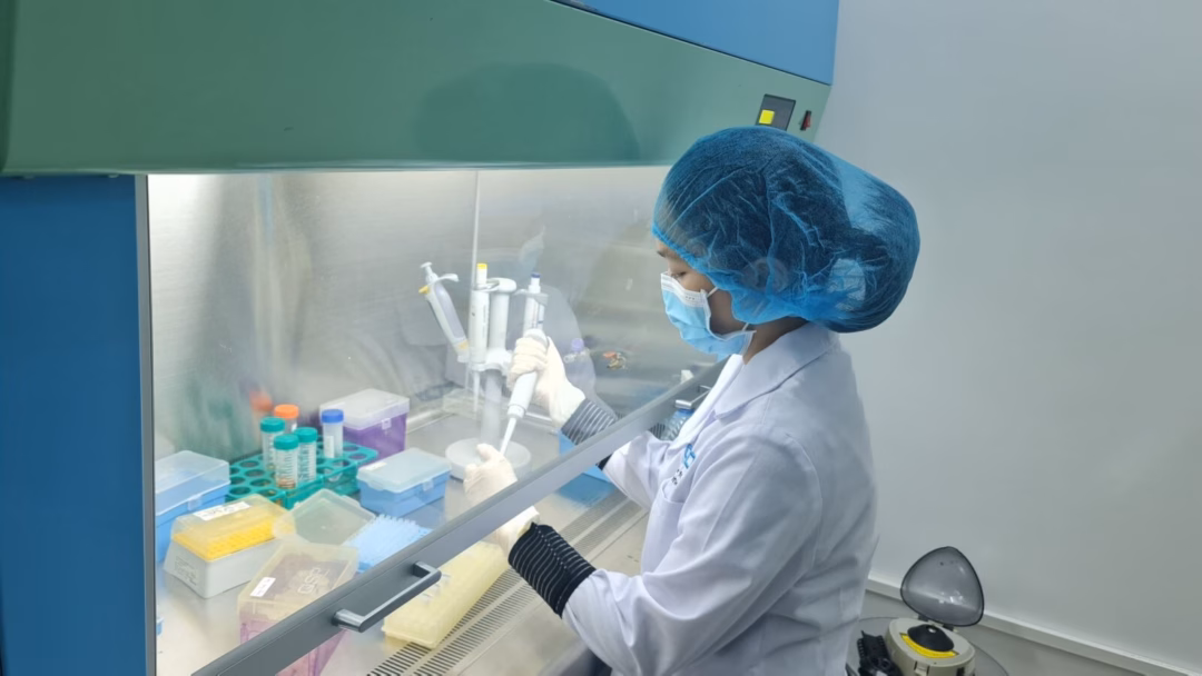 Công nghệ phân tích ADN giúp xác định danh tính liệt sĩ