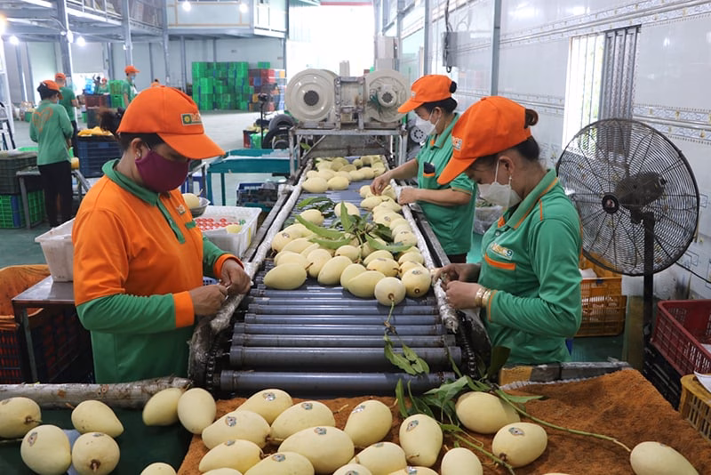 Đồng Tháp: Xã Mỹ Thọ đổi mới với quy mô lớn, cơ hội phát triển vượt trội