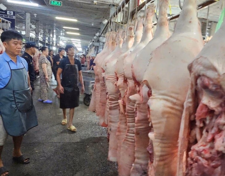 Giá heo giảm mạnh ở cả ba miền Nam, Trung và Bắc