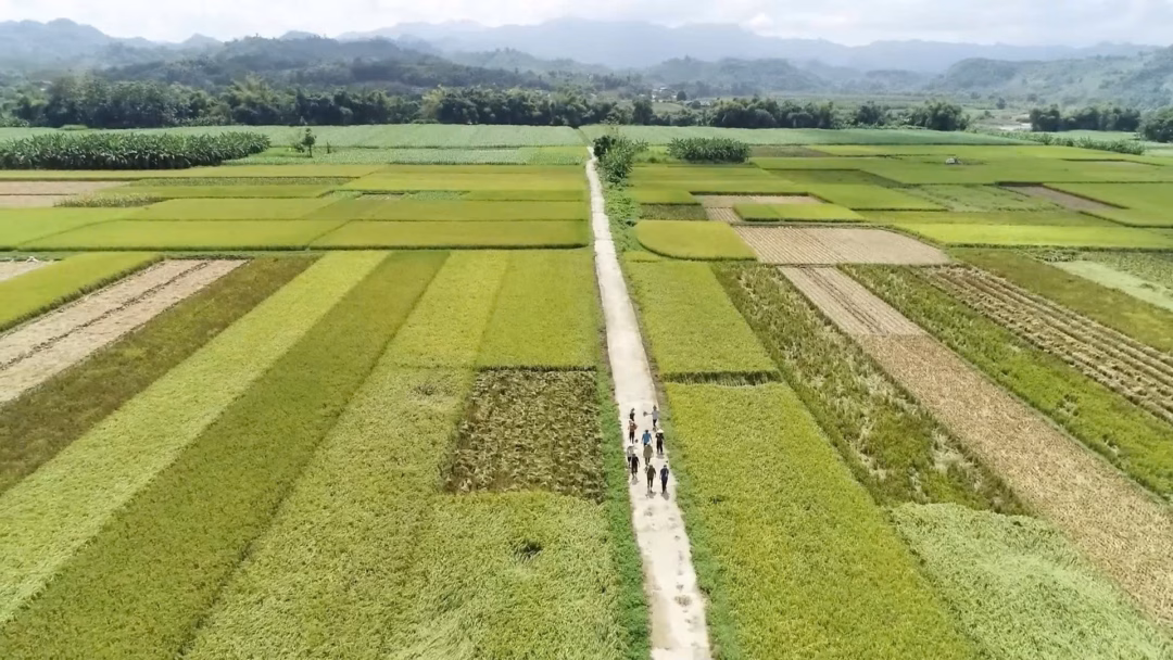 Hà Tĩnh hỗ trợ 1,8 tỷ đồng phát triển công nghiệp nông thôn năm 2025 Chiêm Hóa bứt phá phát triển theo hướng hiện đại
