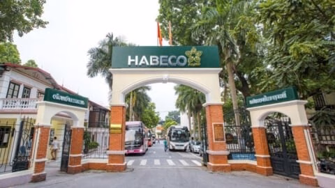 Habeco đạt doanh thu gần 2.356 tỷ đồng trong quý 2, nhưng lợi nhuận giảm 7%