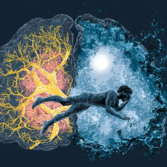 Hoóc môn leptin có thể điều trị toan keto do tiểu đường mà không cần insulin
