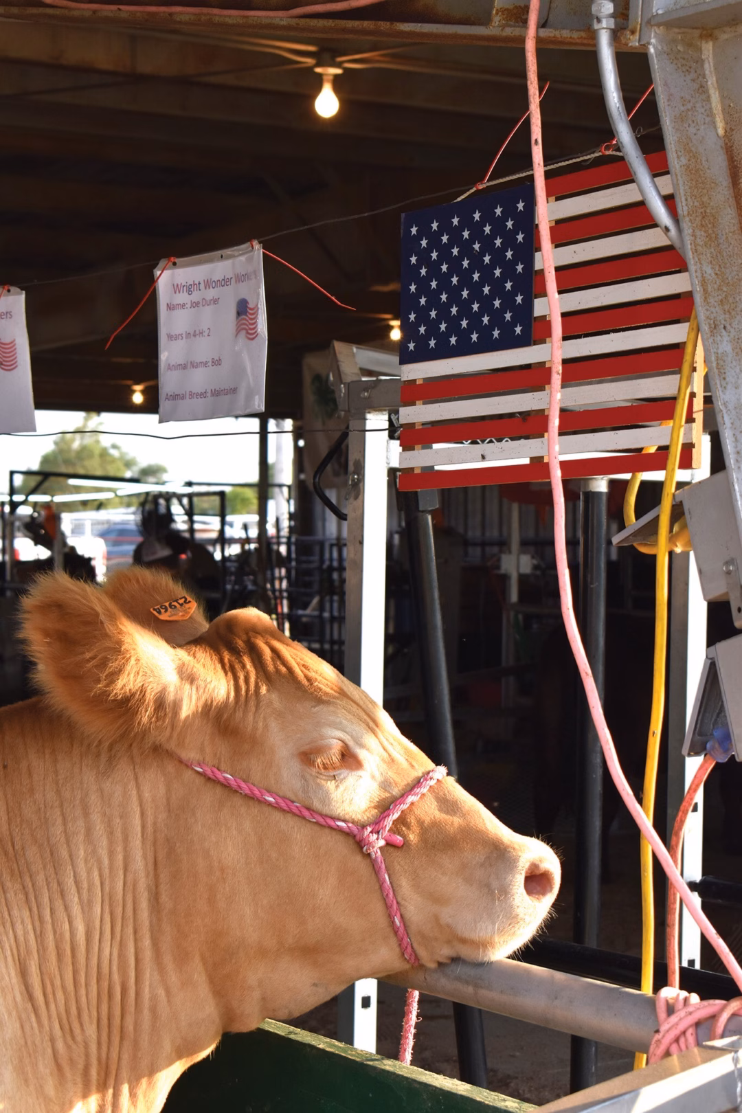 Lễ hội Nông trại Ford giới thiệu sự kiện mới vì cộng đồng và từ thiện