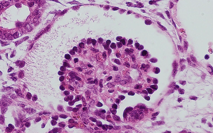 Phát hiện cấu trúc hoàn toàn mới bên trong tế bào người - Ảnh 3.