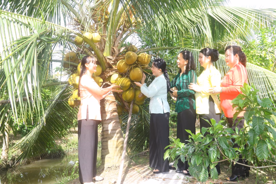 Phụ nữ làm giàu từ mô hình du lịch sinh thái và dừa sáp đặc sản