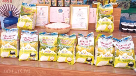 Tăng trưởng kinh tế cần huy động mọi nguồn lực