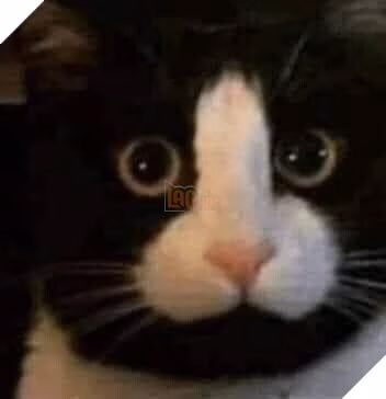 Thị trường chứng khoán: Kịch bản tăng điểm trong tương lai và lời khuyên đầu tư