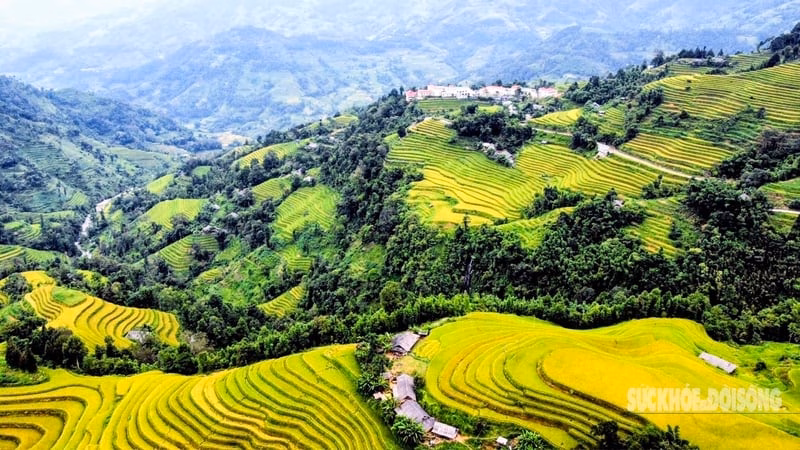 Mùa vàng Hoàng Su Phì bình yên giữa non cao Tây Côn Lĩnh