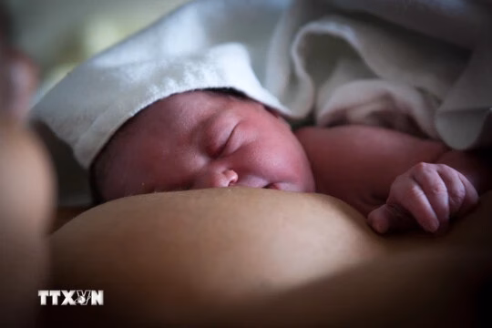 Tuần lễ Nuôi con bằng sữa mẹ thế giới: Lợi ích vượt trội cho bé và môi trường