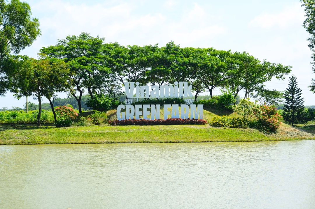 Ảnh: Quang Định
