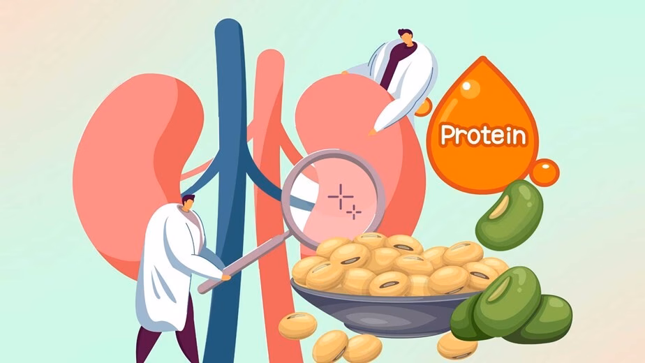 Bổ sung đạm tốt giúp tăng cường sức khỏe thận mỗi ngày