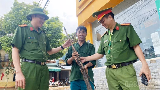 Cảnh sát giao thông sẽ dùng camera AI để phát hiện vi phạm giao thông