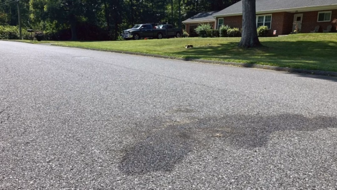 Cáo con bị bỏng nặng ở Mỹ: Cảnh sát nhận diện kẻ gây tội và sẽ truy tố