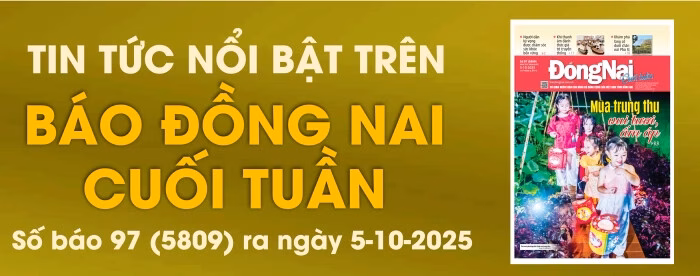 Đồng Nai bùng phát dịch sốt xuất huyết, kêu gọi tăng cường phòng chống dịch bệnh