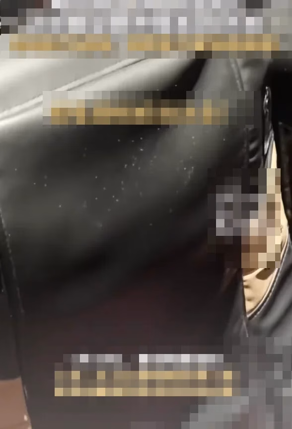 Ghế rạp chiếu phim Trung Quốc có sinh vật ‘bò lổm ngổm’, khán giả phẫn nộ