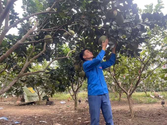 Anh Vinh chia sẻ về công ty phần mềm Murror do mình sáng lập, năm 2024. Ảnh: Vinh Trần