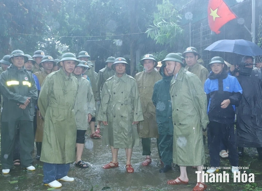 Tiềm năng phát triển cây Sachi