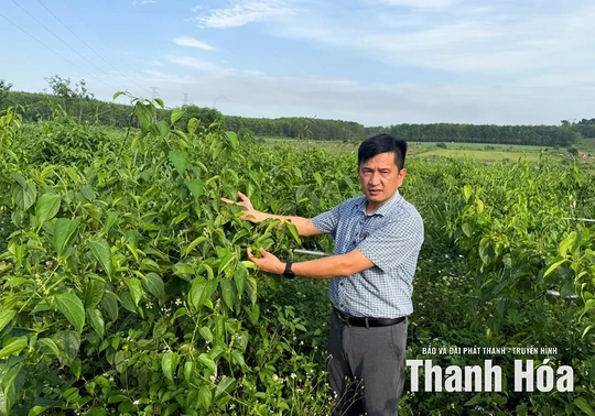 “Ngày hội” đồng hành cùng con trẻ