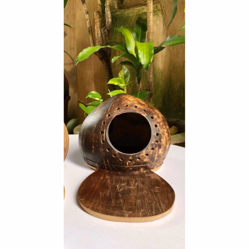 Thức Ăn Cho Thú Cưng Từ Gáo Dừa: Lợi Ích và Những Sai Lầm Cần Tránh