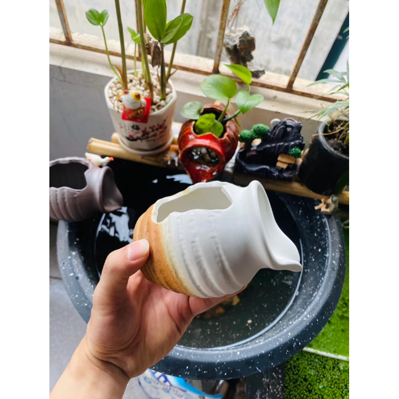 Làm thế nào để chọn bình gốm thác nước bể cá phù hợp mà không lãng phí tiền?